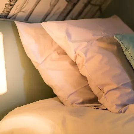 La Canopee à Quelques Pas Du De La Forêt D'orient - Les Du Belvédère *